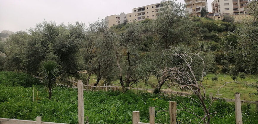 Land for Sale Blat Jbeil Area 882Sqm