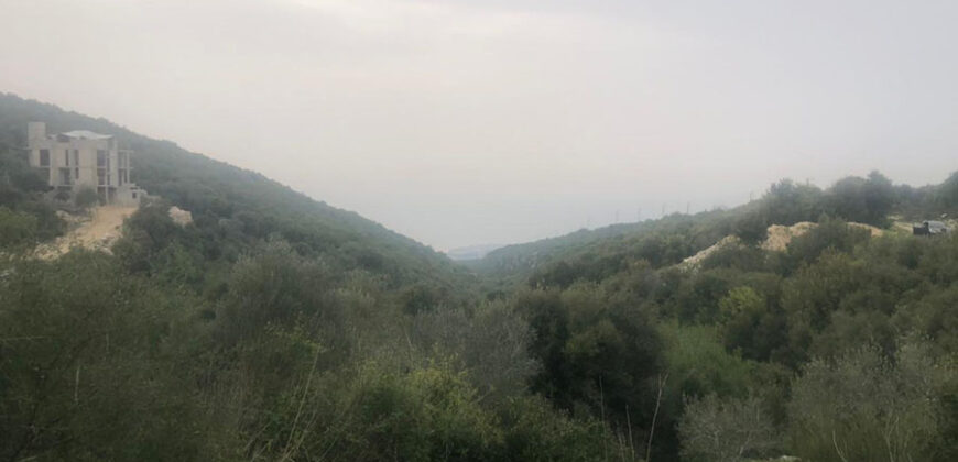 Land for Sale Aabrine Batroun Area 4400Sqm