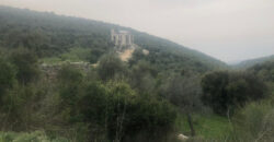 Land for Sale Aabrine Batroun Area 4400Sqm