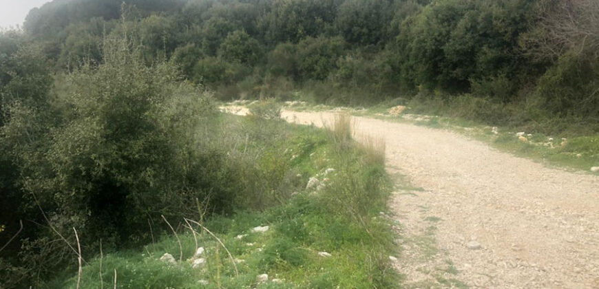Land for Sale Aabrine Batroun Area 4400Sqm