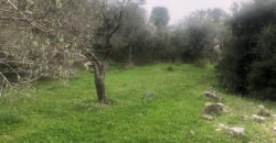 Land for Sale Aabrine Batroun Area 4400Sqm