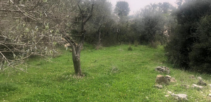Land for Sale Aabrine Batroun Area 4400Sqm