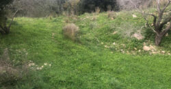 Land for Sale Aabrine Batroun Area 4400Sqm