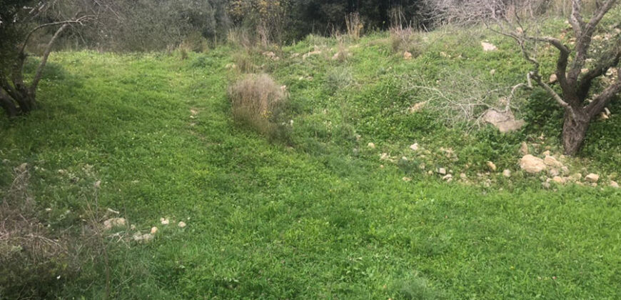 Land for Sale Aabrine Batroun Area 4400Sqm