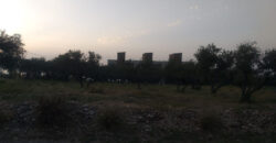 Land for Sale Tehoum Batroun Area 1052Sqm