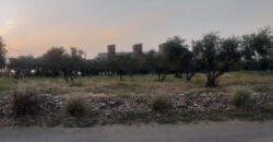 Land for Sale Tehoum Batroun Area 1052Sqm