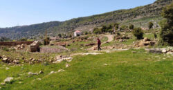 Land for Sale Ehmej Jbeil Area 1730Sqm