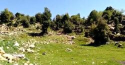Land for Sale Ehmej Jbeil Area 1730Sqm