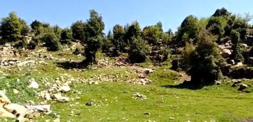 Land for Sale Ehmej Jbeil Area 1730Sqm