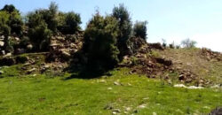 Land for Sale Ehmej Jbeil Area 1730Sqm