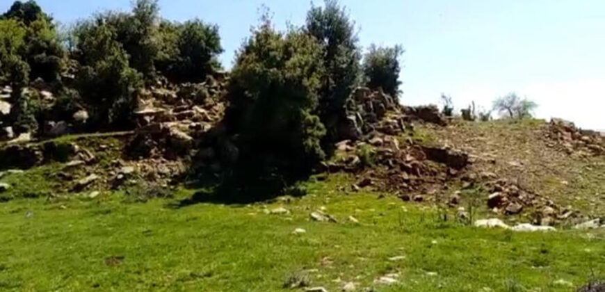 Land for Sale Ehmej Jbeil Area 1730Sqm