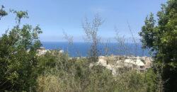 Land for Sale Safra Kesserwan Area 1350Sqm