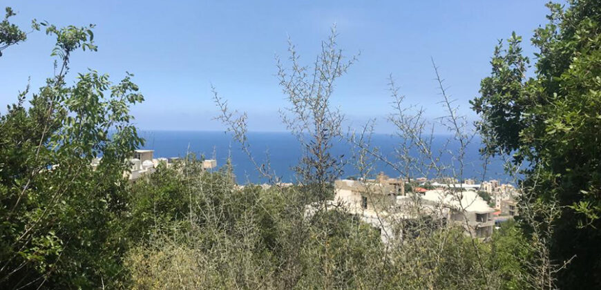 Land for Sale Safra Kesserwan Area 1350Sqm