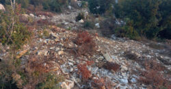 Land for Sale Mechmech Jbeil Area 1187Sqm