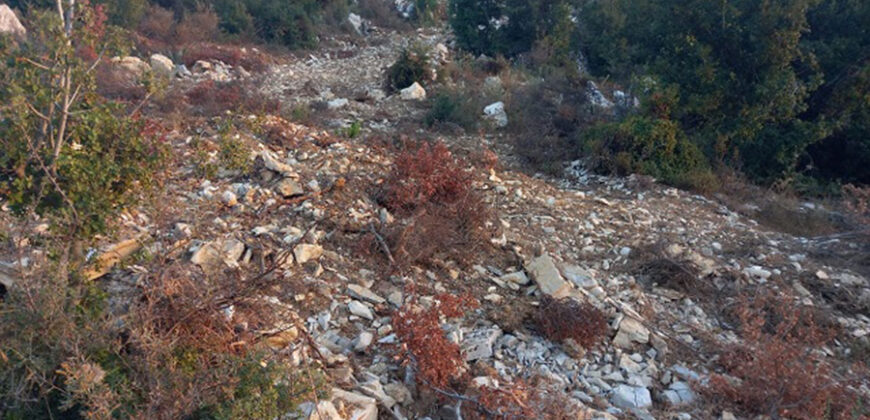 Land for Sale Mechmech Jbeil Area 1187Sqm