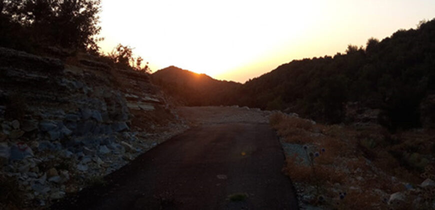 Land for Sale Mechmech Jbeil Area 1187Sqm