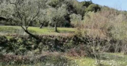 Land for Sale Chamat Jbeil Area 3500Sqm