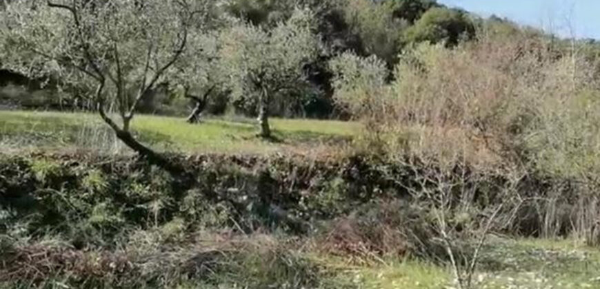 Land for Sale Chamat Jbeil Area 3500Sqm