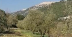 Land for Sale Chamat Jbeil Area 3500Sqm