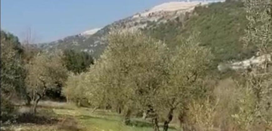 Land for Sale Chamat Jbeil Area 3500Sqm