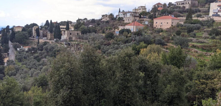 Land for Sale Monsef Jbeil Area 1522Sqm