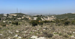 Land for Sale Aassia Batroun Area 2586Sqm