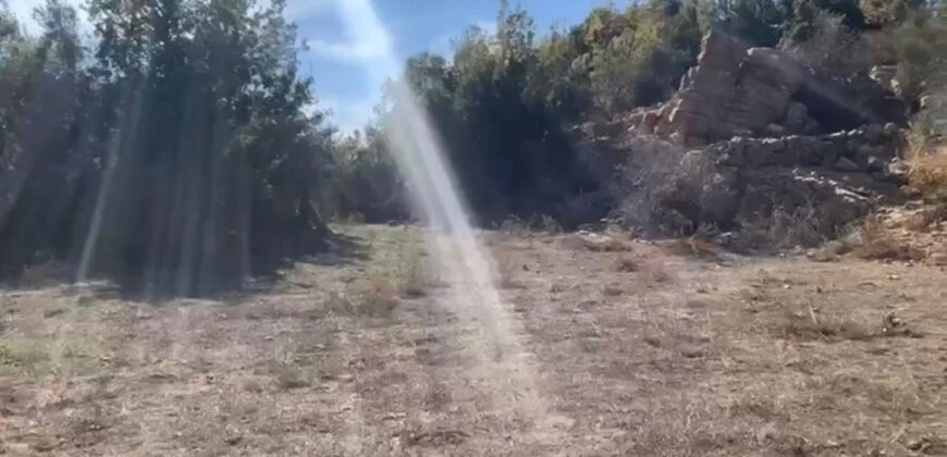 Land for Sale Ehmej Jbeil Area 5480Sqm