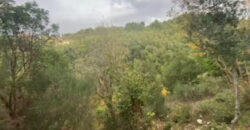 Land for Sale Zaaitra Kesserwan Area 4410Sqm