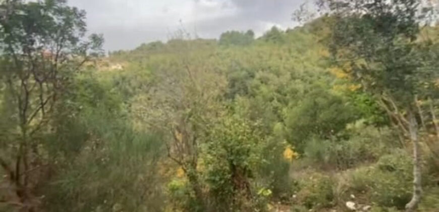 Land for Sale Zaaitra Kesserwan Area 4410Sqm