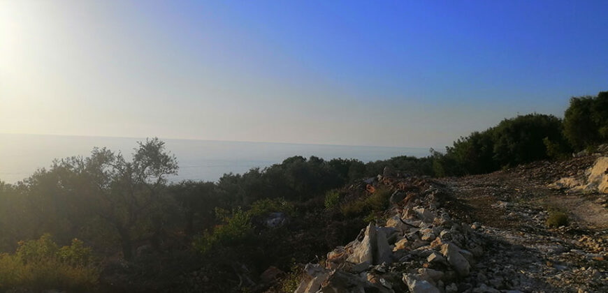 Land for Sale Monsef Jbeil Area 1288Sqm