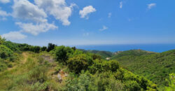 Land for Sale Chmout Jbeil Area 2938Sqm
