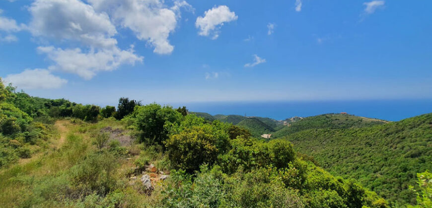 Land for Sale Chmout Jbeil Area 2938Sqm