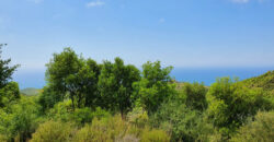 Land for Sale Chmout Jbeil Area 2938Sqm