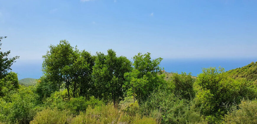 Land for Sale Chmout Jbeil Area 2938Sqm