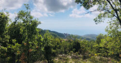 Land for Sale Ehmej ( Aaouayni ) Jbeil Area 800Sqm