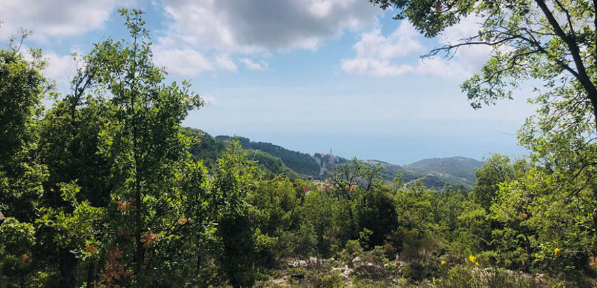 Land for Sale Ehmej ( Aaouayni ) Jbeil Area 800Sqm