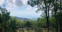 Land for Sale Ehmej ( Aaouayni ) Jbeil Area 800Sqm