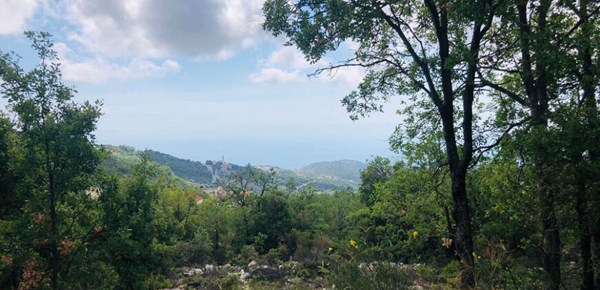 Land for Sale Ehmej ( Aaouayni ) Jbeil Area 800Sqm