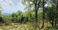 Land for Sale Ehmej ( Aaouayni ) Jbeil Area 800Sqm