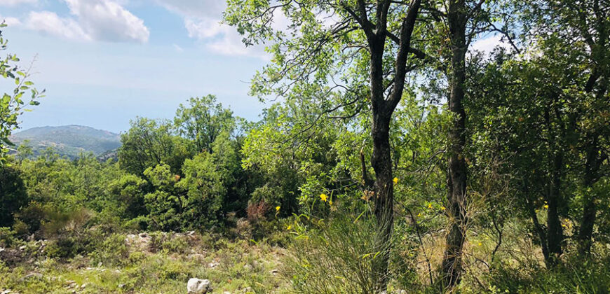 Land for Sale Ehmej ( Aaouayni ) Jbeil Area 800Sqm