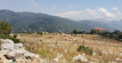 Land for Sale Ehmej Jbeil Area 2475Sqm