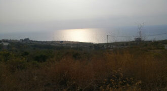 Land for Sale Berbara Jbeil Area 811Sqm