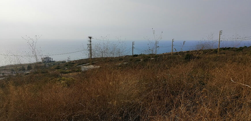 Land for Sale Berbara Jbeil Area 811Sqm