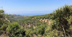 Land for Sale Gharzouz Jbeil Area 790Sqm