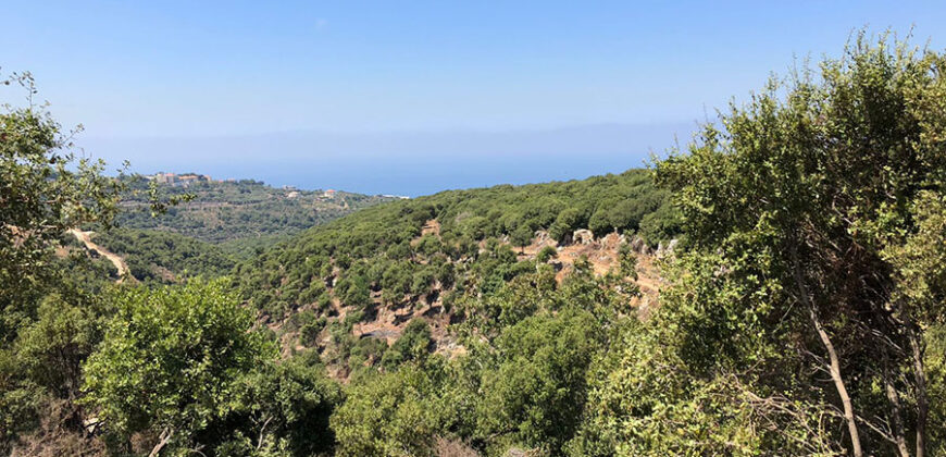 Land for Sale Gharzouz Jbeil Area 790Sqm