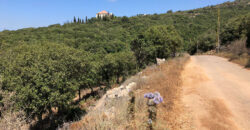 Land for Sale Gharzouz Jbeil Area 790Sqm