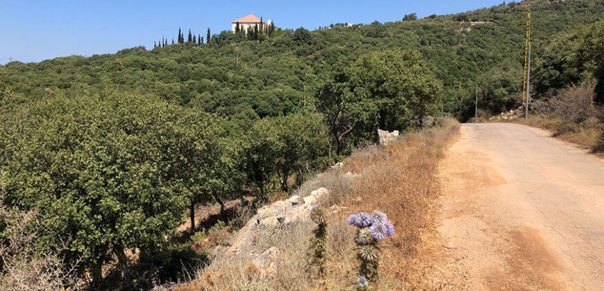 Land for Sale Gharzouz Jbeil Area 790Sqm