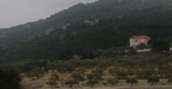 Land for Sale Chabtine Batroun Area 1220Sqm