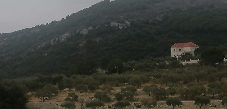 Land for Sale Chabtine Batroun Area 1220Sqm