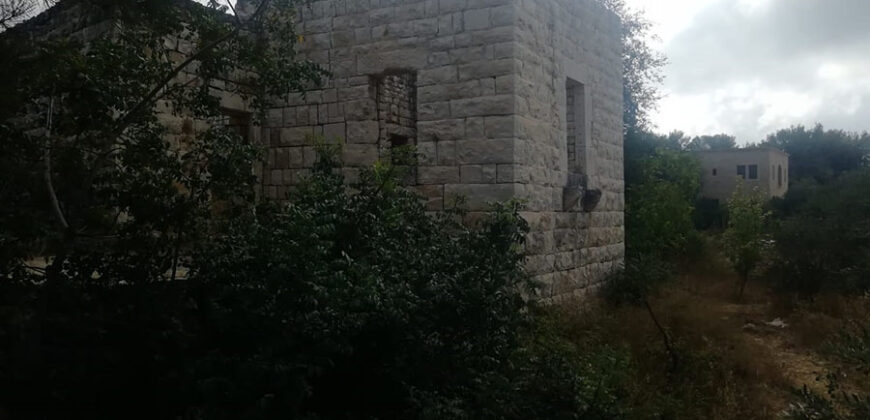 Old House for Sale Aabdelali Batroun Housing Area 150Sqm and Land Area 540Sqm